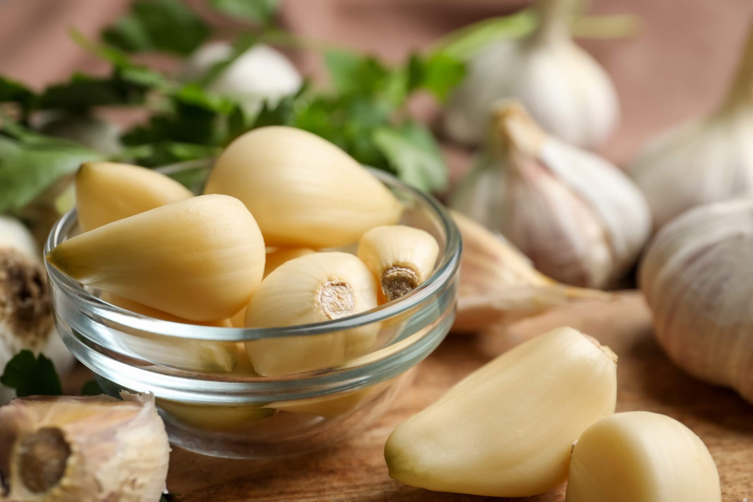 Garlic